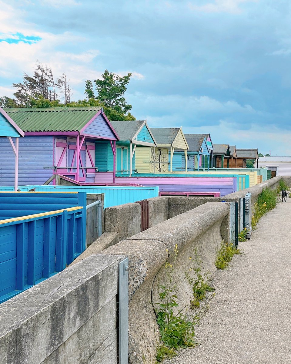 Sharla✨ tweet media