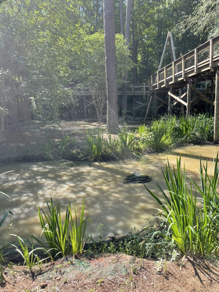 Melanie Johnson tweet media