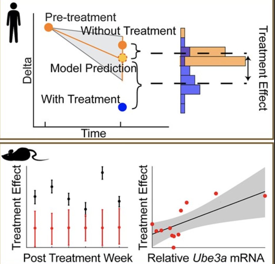 Liz Spencer tweet media