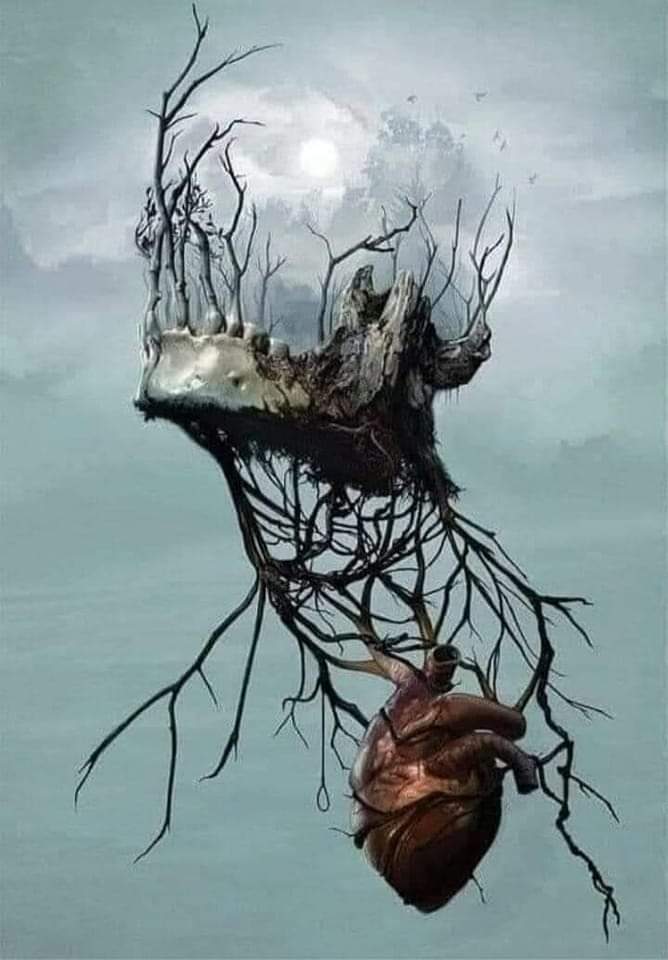 یادوں کی جڑیں پھوٹ ہی پڑتی ہیں کہیں سے.

دل بھر تو جاتے ہیں بنجر نہیں ہوتے۔

#سوچ_کا_سفر 
#آغوش-ادب