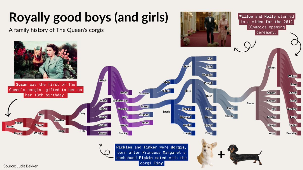 Happy Jubilee weekend! 🇬🇧🫖👑

Lots has changed in the years since Queen Elizabeth II was crowned, but one thing that has remained is Her Royal Highness’ love of corgis. In the Sankey chart below we dive into the family tree of The Queen’s beloved pets – all starting with Susan.