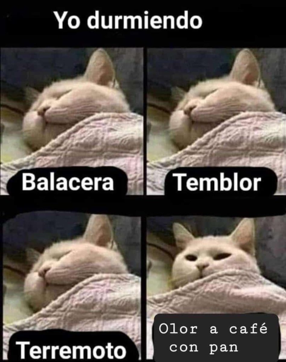 Sara_VA_'s tweet photo. Feliiiiiiiiiiiiiiiz día mi gente bonita 😘 pido a Dios que este mes sea de grandes bendiciones para todos 🙏

Buena Vibra 💫
Café con pan ☕🍞 https://t.co/fOceF8EbHN