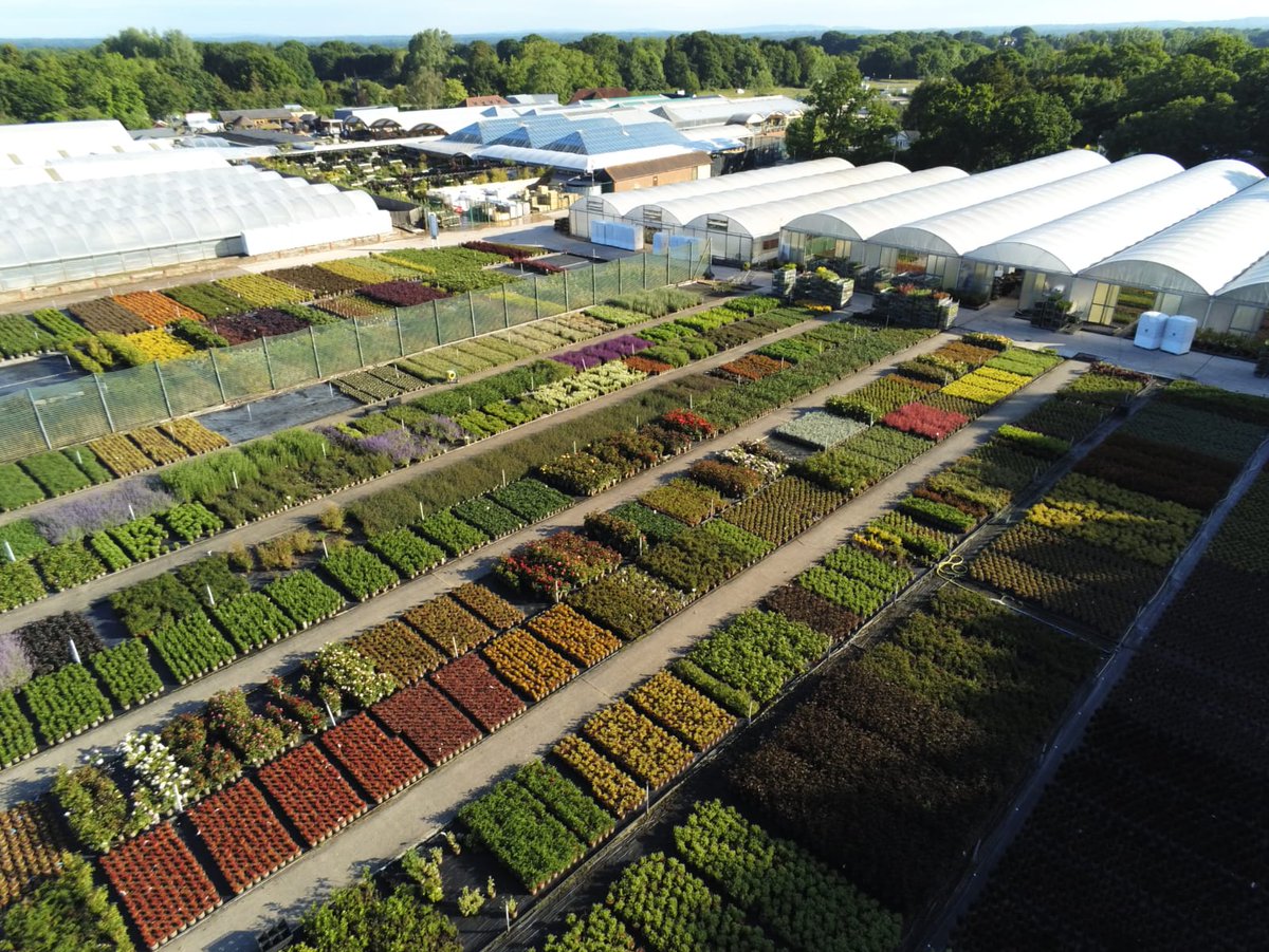 TatesGCs's tweet photo. Awesome drone image of our onsite #nursery at #OldBarn in #DialPost, #Horsham. Tens of thousands of plants coming on nicely and appearing in a #gardencentre near you soon! #sussex ๐ฟ๐บ https://t.co/3QKA70SzUs