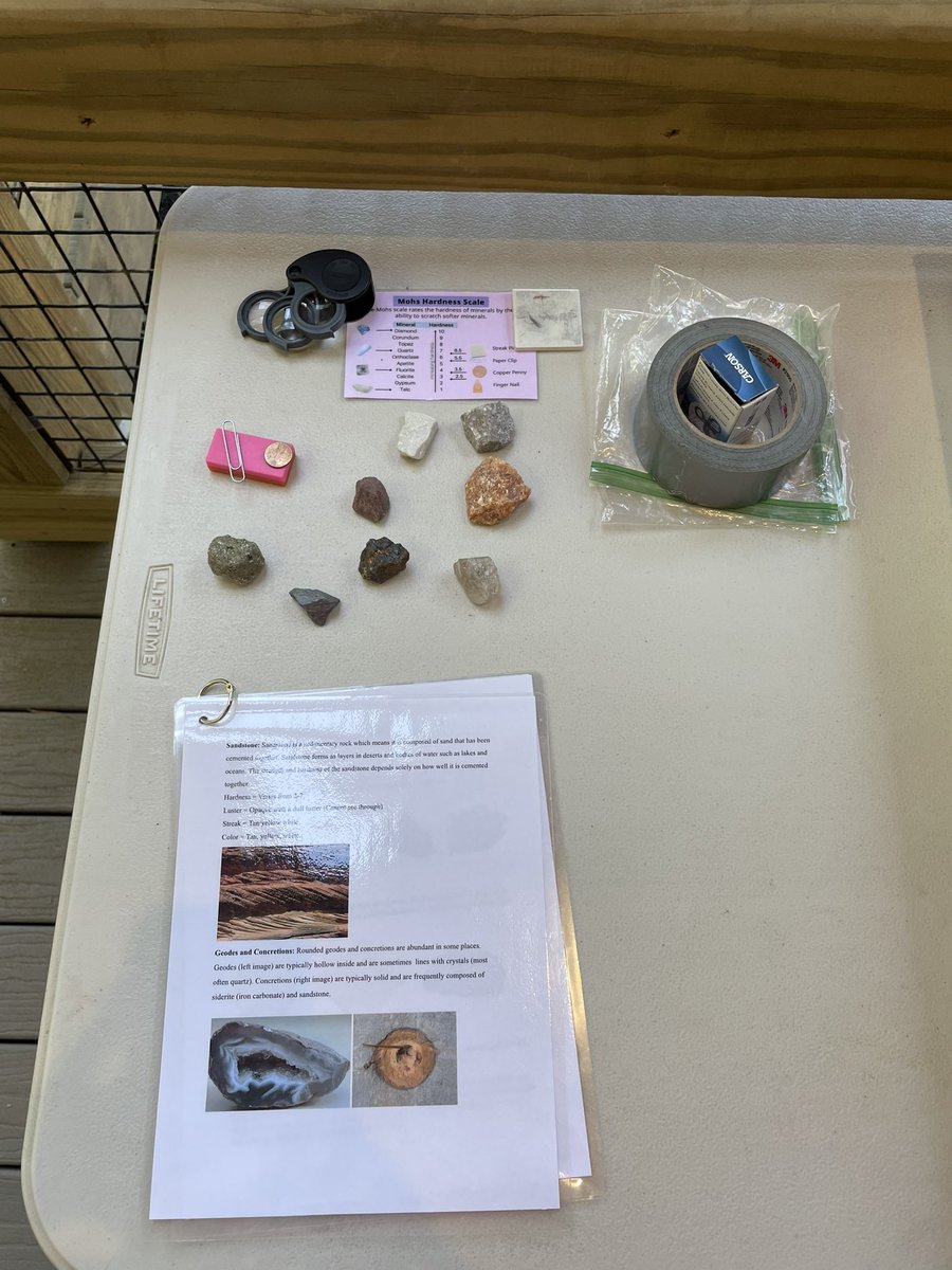 Melanie Johnson tweet media