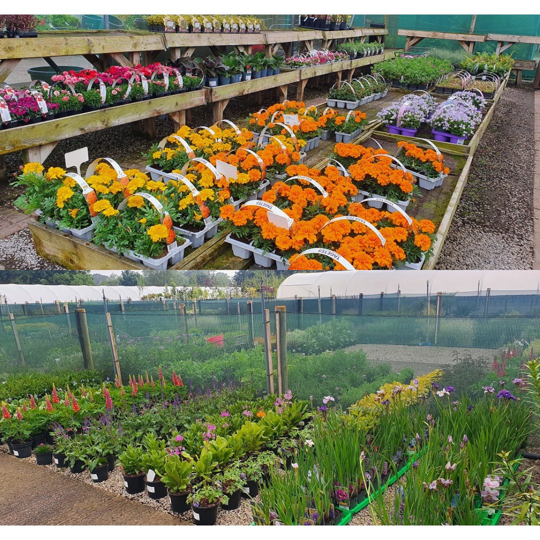 Grasslands Nursery tweet media