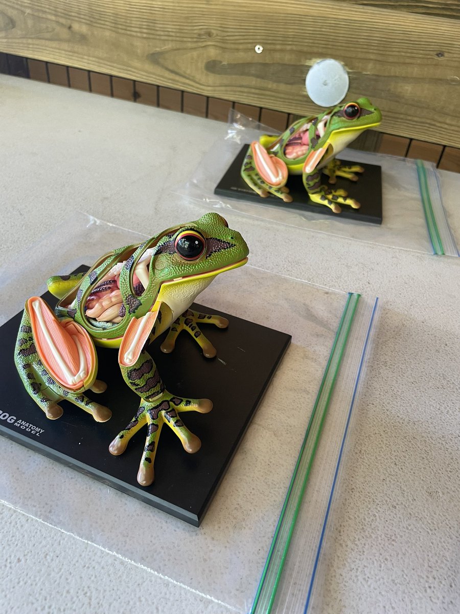 Melanie Johnson tweet media