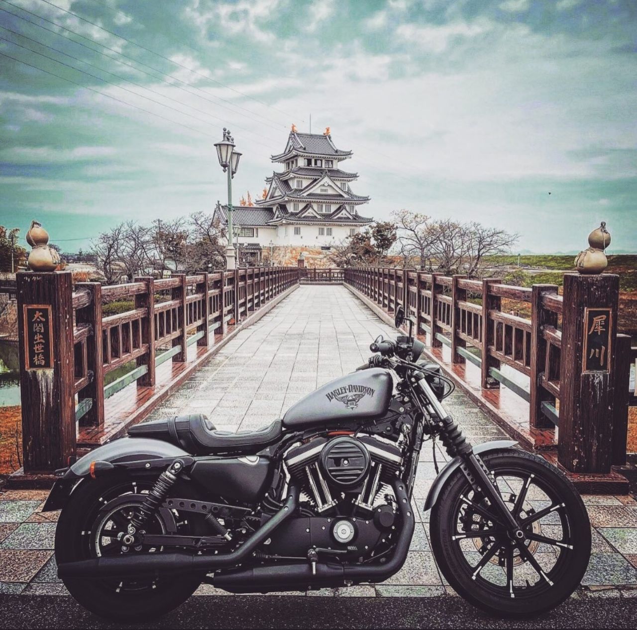 💯Harley Davidson❤️ on Twitter: 💯Harley Davidson❤️ on Twitter:
