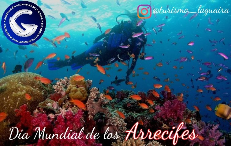 Turismo_lg's tweet photo. En el Día Mundial de los Arrecifes te invitamos a conocer unos de los Arrecifes más grandes del mundo, el Archipiélago de #LosRoques, Territorio Insular Francisco de Miranda. Cautivante con sus espléndidos colores y fascinante belleza
#TurismoLaGuaira
#LaGuairaEsBellezaYTradición https://t.co/ySDQAcpnN7