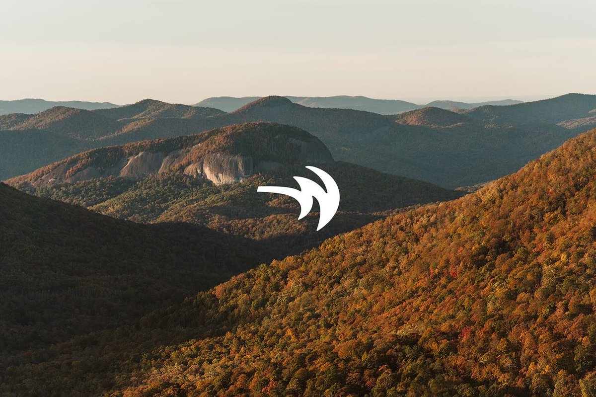 Whitewater tweet media