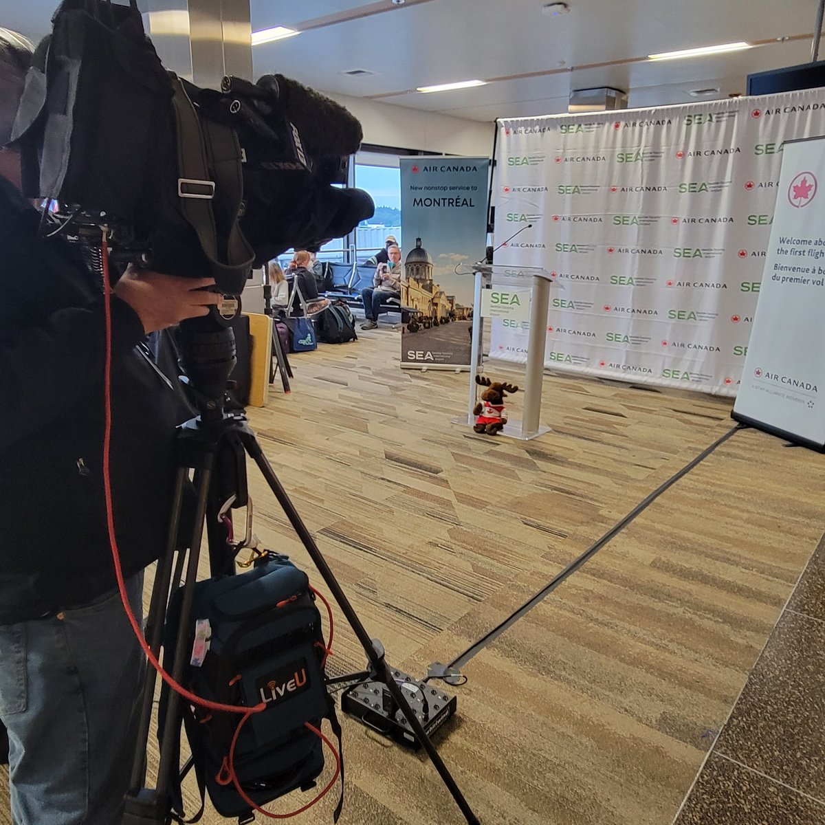 Maddie Morris tweet media