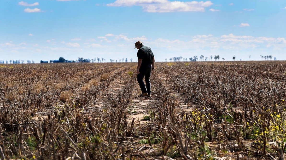 Stickeys_Keys's tweet photo. Most of us have never worried about when our next meal would be.

NEWSFLASH: Those days are GONE.

Tens of millions will die from starvation in the coming years. Things are about to get rough.

Here’s why 2023 will be a DISASTROUS year for humanity, and 10 ways to prepare 🧵 https://t.co/XZLtGdT84M