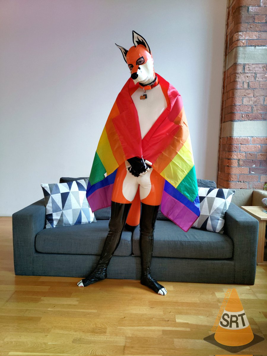 Screaming Rubber Traffic Cone tweet media