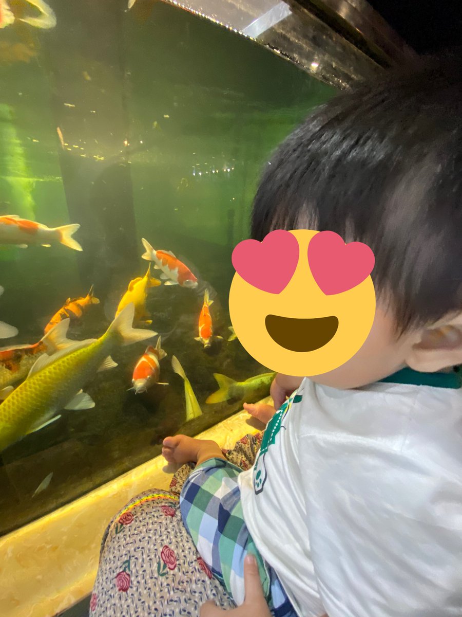 in_danang's tweet photo. 「ベトナム　ダナン　コーヒー　サカナ」って看板通り鯉がたくさんいるカフェテリア。
今日はベトナム���は子供の日なので、息子を鯉を見に連れた。喜んでくれた。 https://t.co/Gph2MTQ7SI