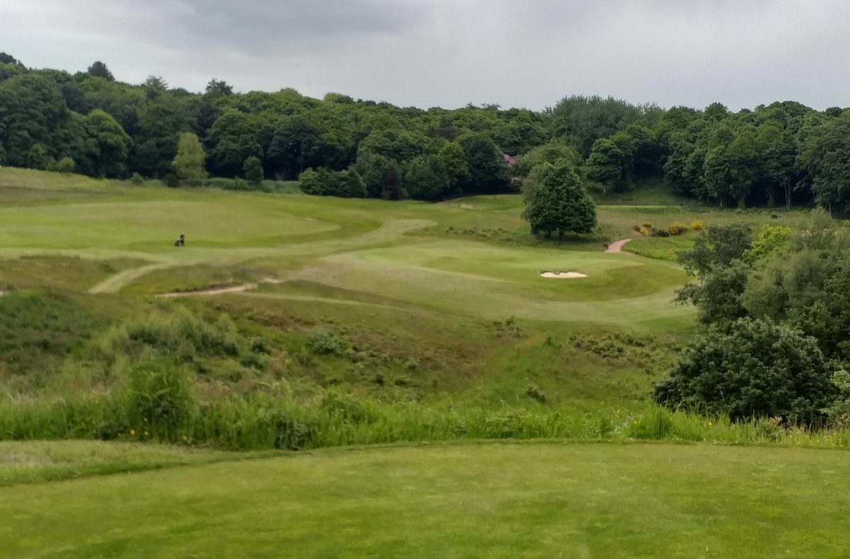 It's good to reflect on the changes brought about by good tree husbandry. 2014 vis-à-vis 2022.