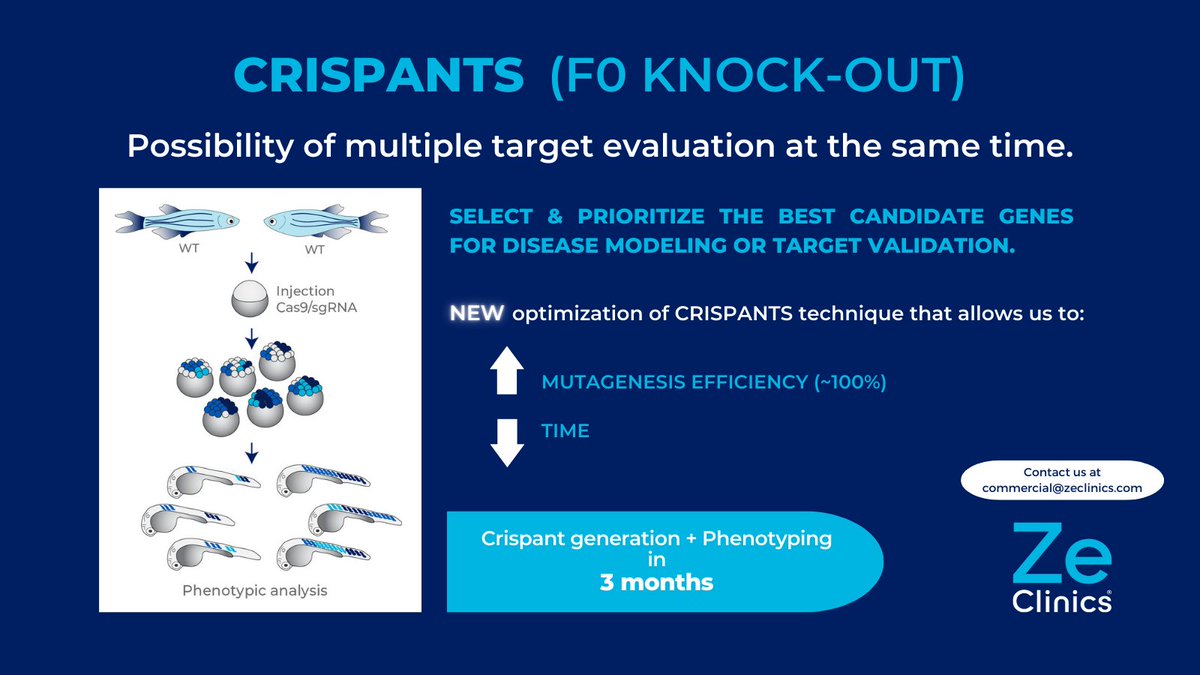 ZeClinics's tweet image. Looking for a reliable, rapid, and scalable solution for #targetvalidation? We can generate stable mutants and evaluate the loss-of-function phenotypes of multiple candidate genes in only 2 months! Now, our ~100% efficient mutagenesis is faster than ever! Reach out for more info