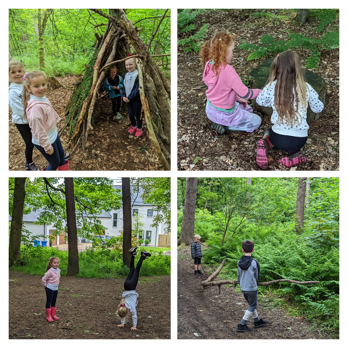 Miss Mitchell tweet media