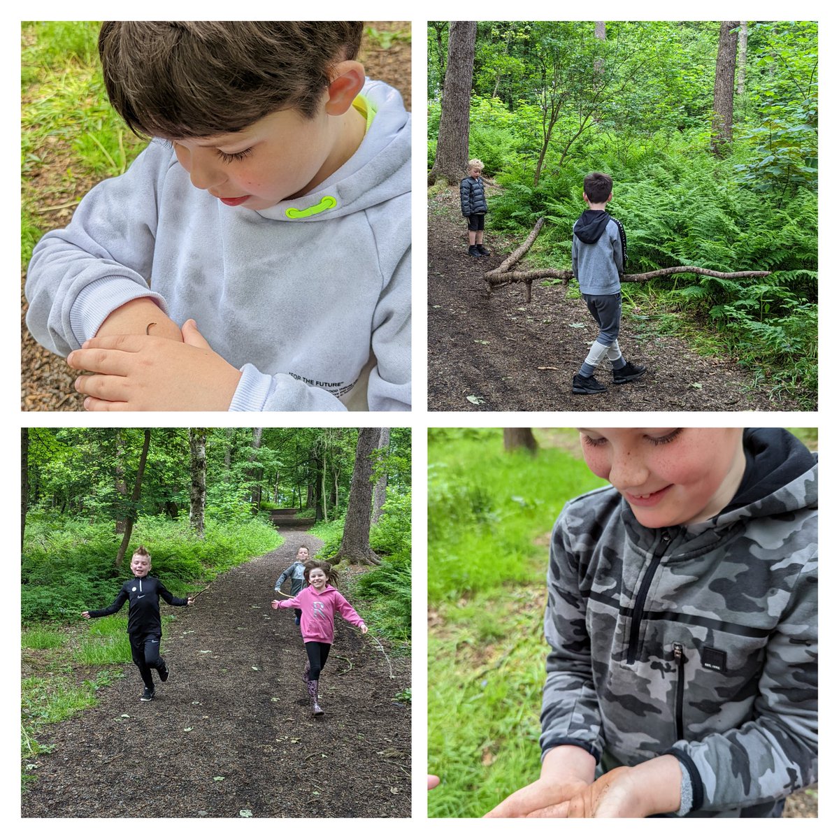 Miss Mitchell tweet media