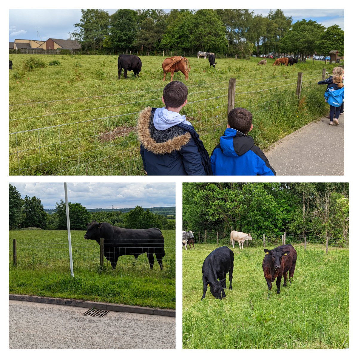 Miss Mitchell tweet media