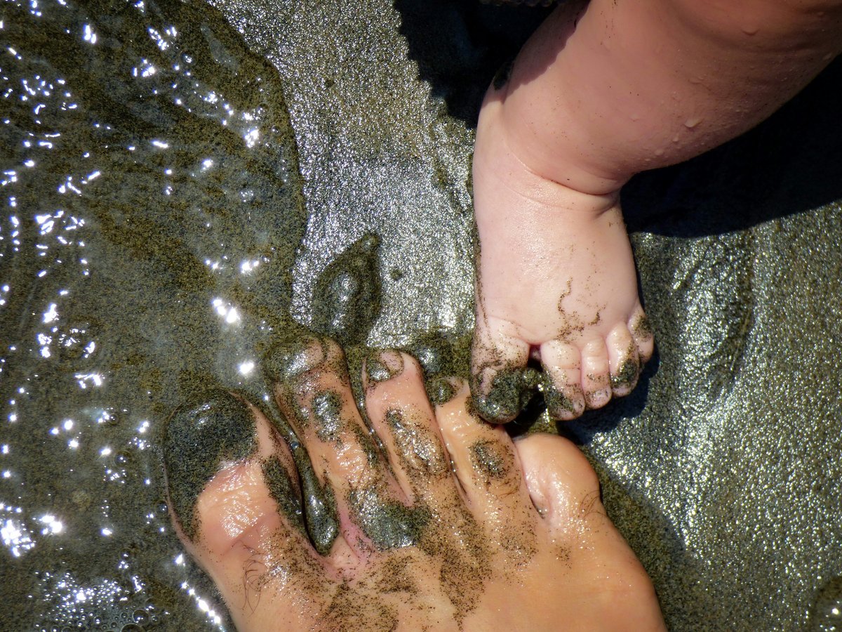 PackardFdn's tweet photo. 🌊Happy Ocean Month 🌊
The ocean
🌎Covers 70% of the planet
🐟Is home to 80% of all life on Earth
💧Holds 97% of our water
Each of us depends on a vibrant & healthy ocean -- even if you’ve never dipped your toes into its salty waters. #OceanMonth https://t.co/sn4C9WzV2o