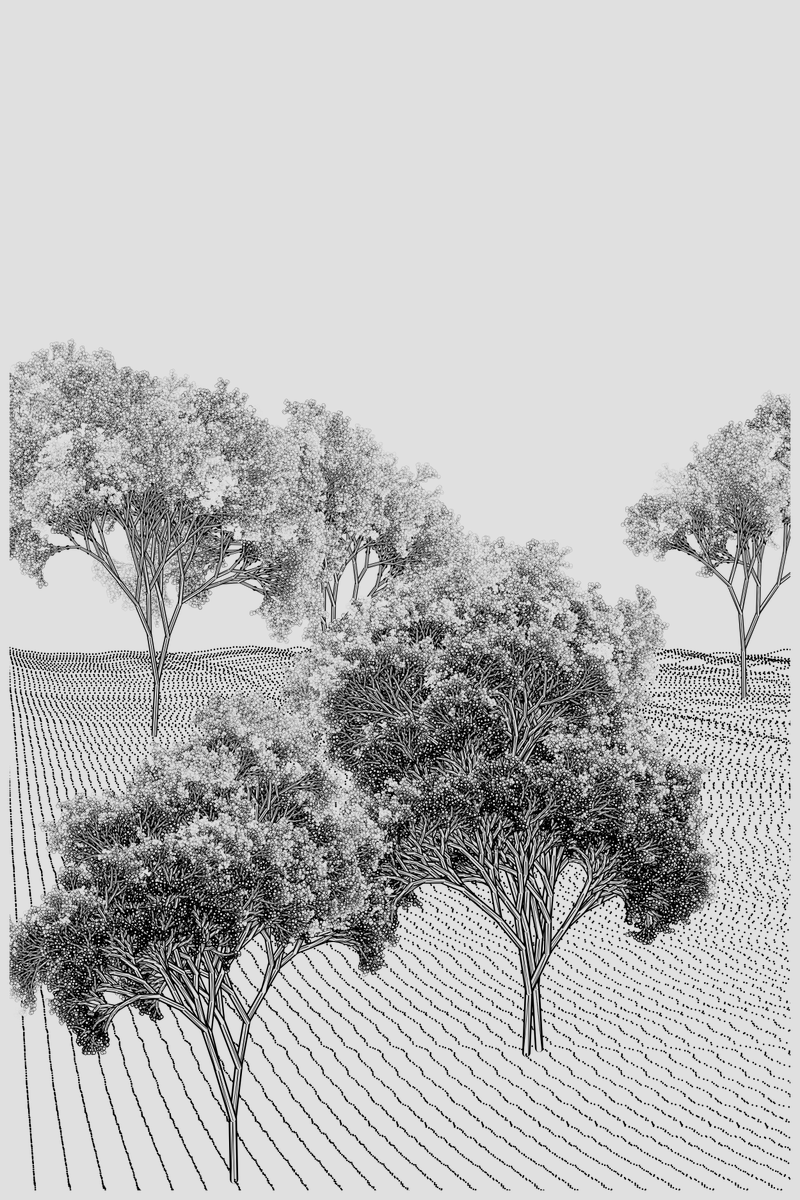 Good morning ! 😃

Today I will be working on this scene, it is very early work and the terrain is simply a placeholder while I make some decisions and adjustments, but here is a WIP shot.

#Tezumie #tezos #tez #fxhash #generativeart #genart #genartclub #p5js 
<a href="/fx_hash_/">fxhash</a>