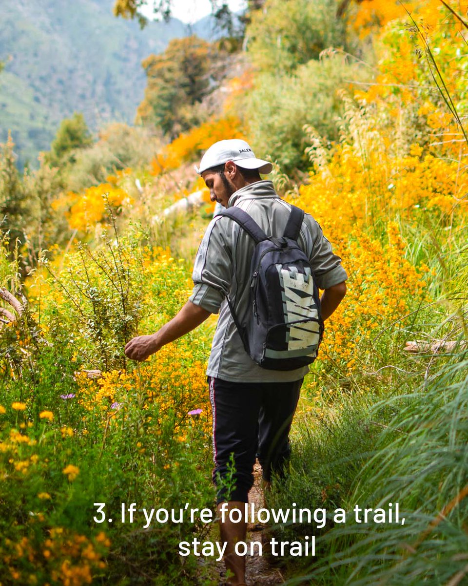 WorldTrailsNet's tweet photo. This Saturday—Celebrate #WorldTrailsDay and remember these 3 simple ways to make a positive impact on trails.
#trails #trailadvocacy #Stewardship #optoutside #longdistancetrails #thruhike #hiking #mtb #trailrunning #nationaltrailsday #walking https://t.co/93Apqawwga