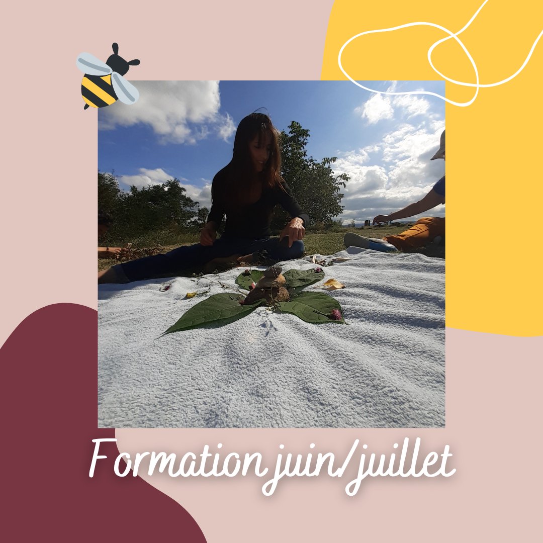 BeesMulti's tweet image. 🐝🐝Multi BEES 🐝🐝

La formation de juin commence dans quelques semaines mais ne vous inquiétez pas, vous avez encore le temps de nous envoyer votre candidature. 

multibees.com/communaute/dev…
Nous avons hâtes de lire vos belles lettres🐝

#multibees #ateliernature #atelierzerodechet