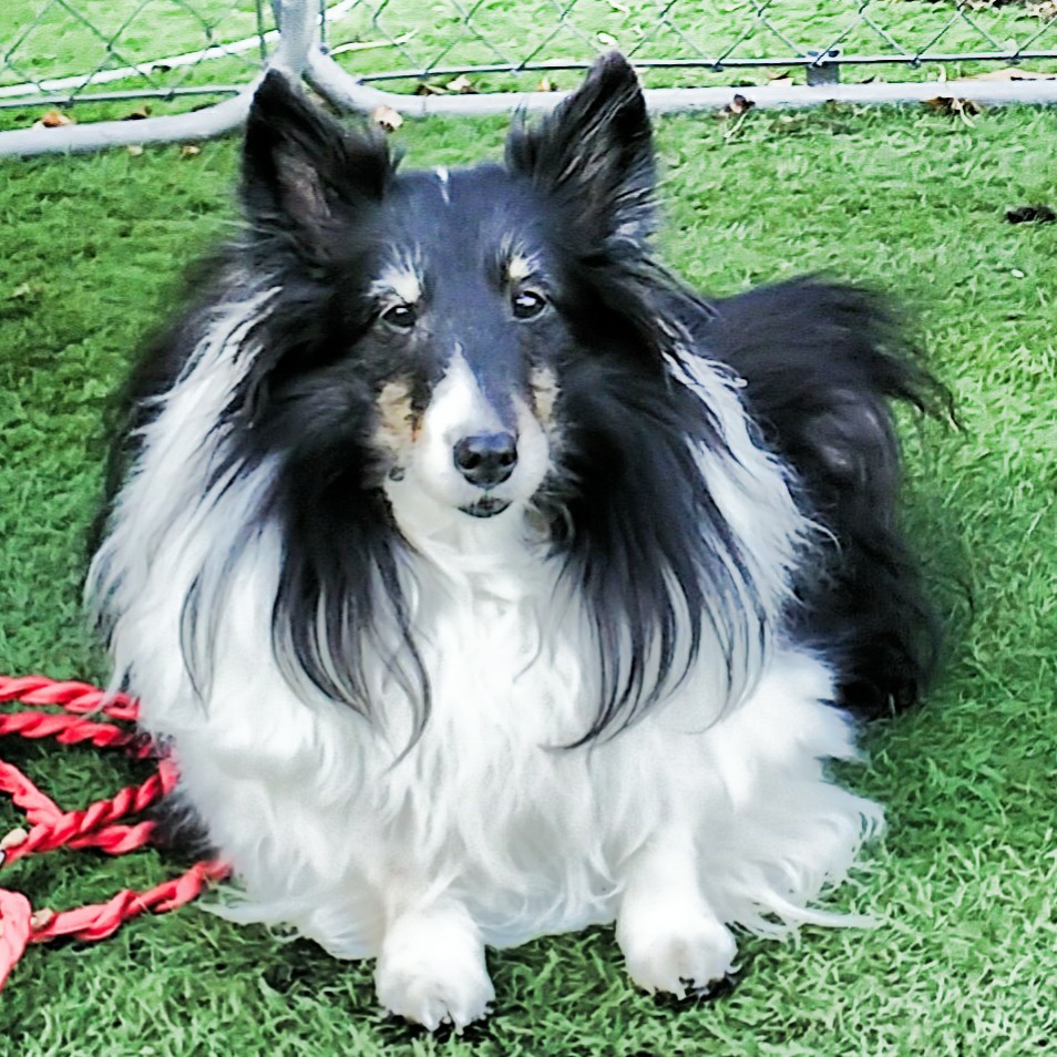 チィ Vwtmem1gcy7tp7t Twitter