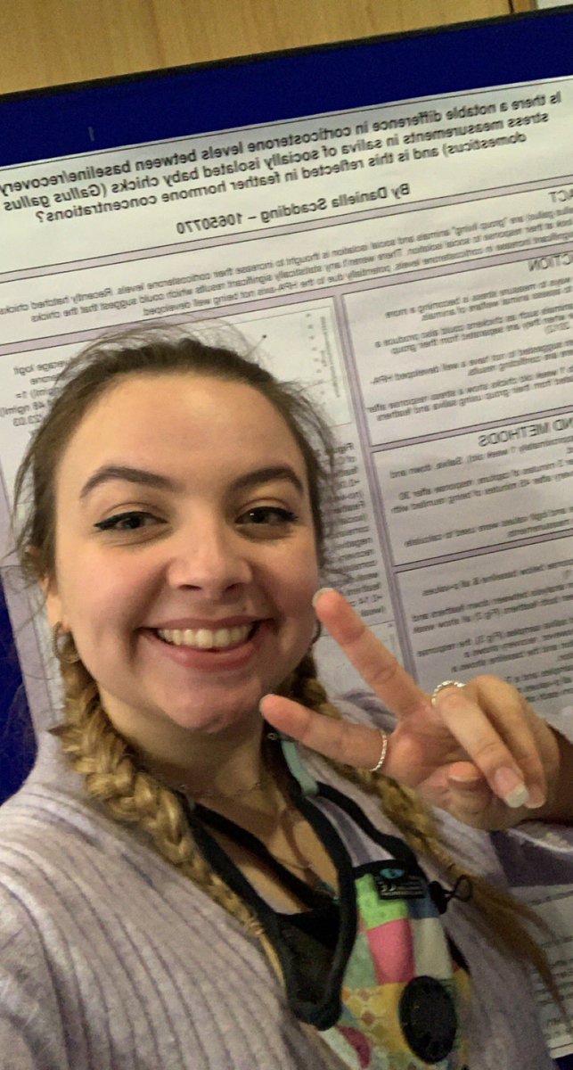 DannyScadding's tweet photo. Final assessment completed… 3rd year completed… uni completed ✅ #uni #degreecompleted https://t.co/yInFPi94HZ