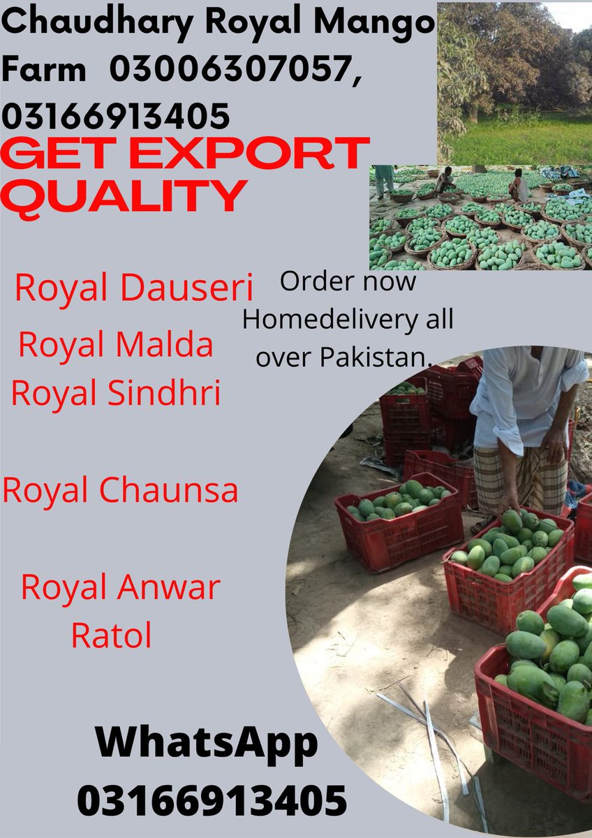 AnwarchRoyal's tweet photo. @Jooookeeeerrrr Order Multani mango's direct from orchard, home delivery all over PAKISTAN, 
Order now https://t.co/lHVl9LdDkj