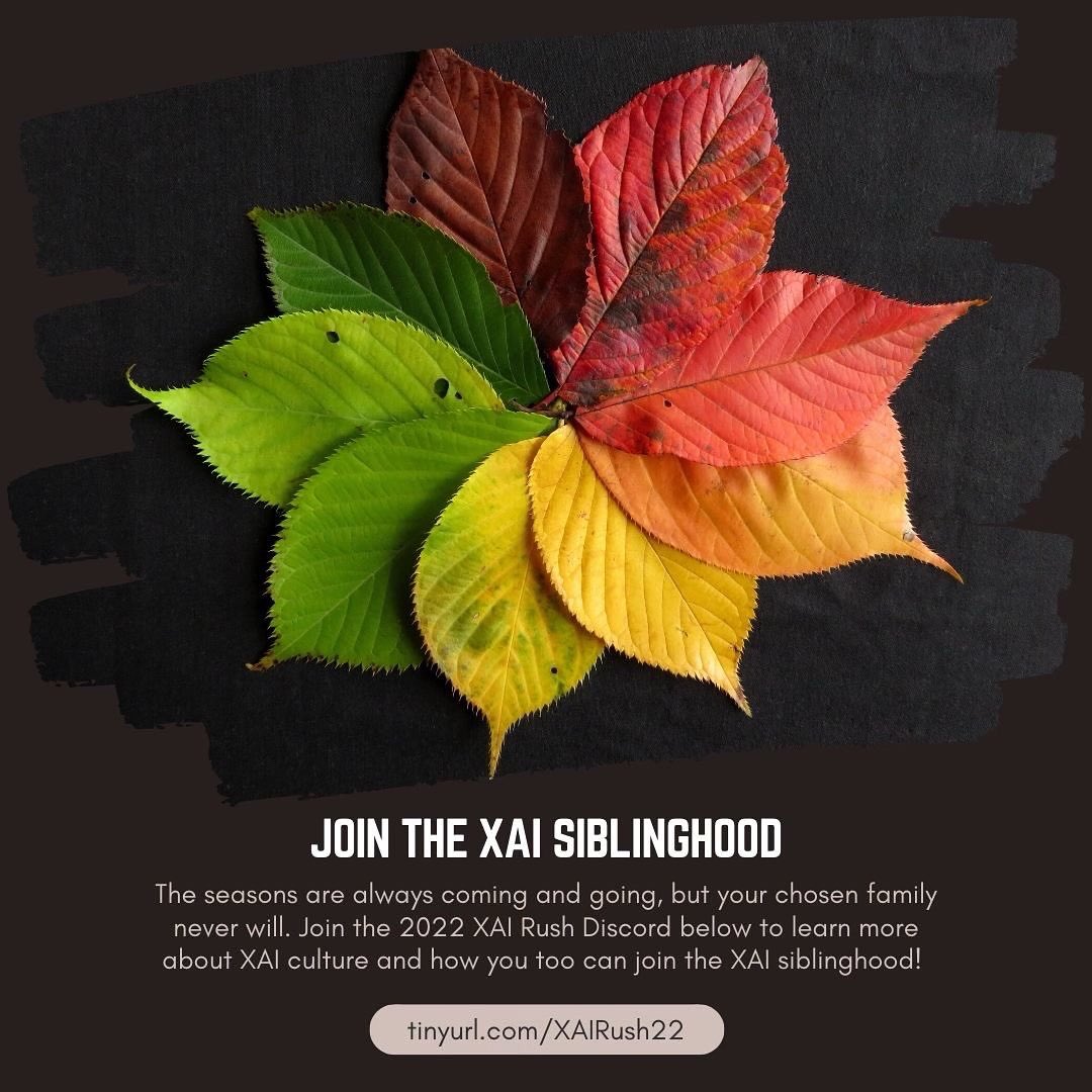 Chi Alpha Iota Diaternity tweet media