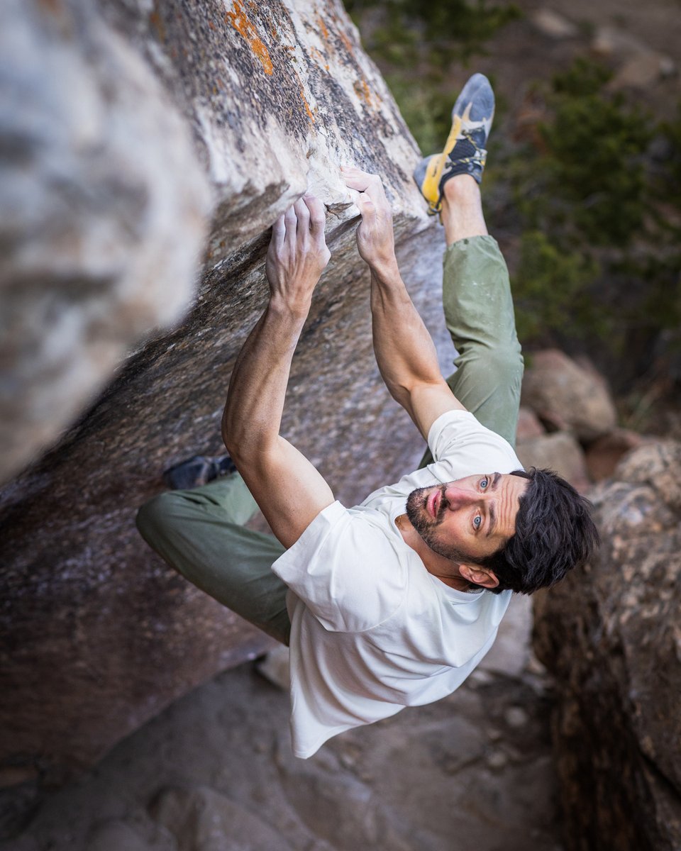 Jon Glassberg tweet media