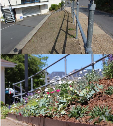 MSGGuernsey's tweet photo. A big thank you to Grow who planted wildflowers on our grounds for the #PollinatorProject to help produce seeds and fruits for the next generation of plants and support 1500 insect pollinators! #sustainability is a core value and we were delighted to work with this project. https://t.co/PSxS75HI4Q