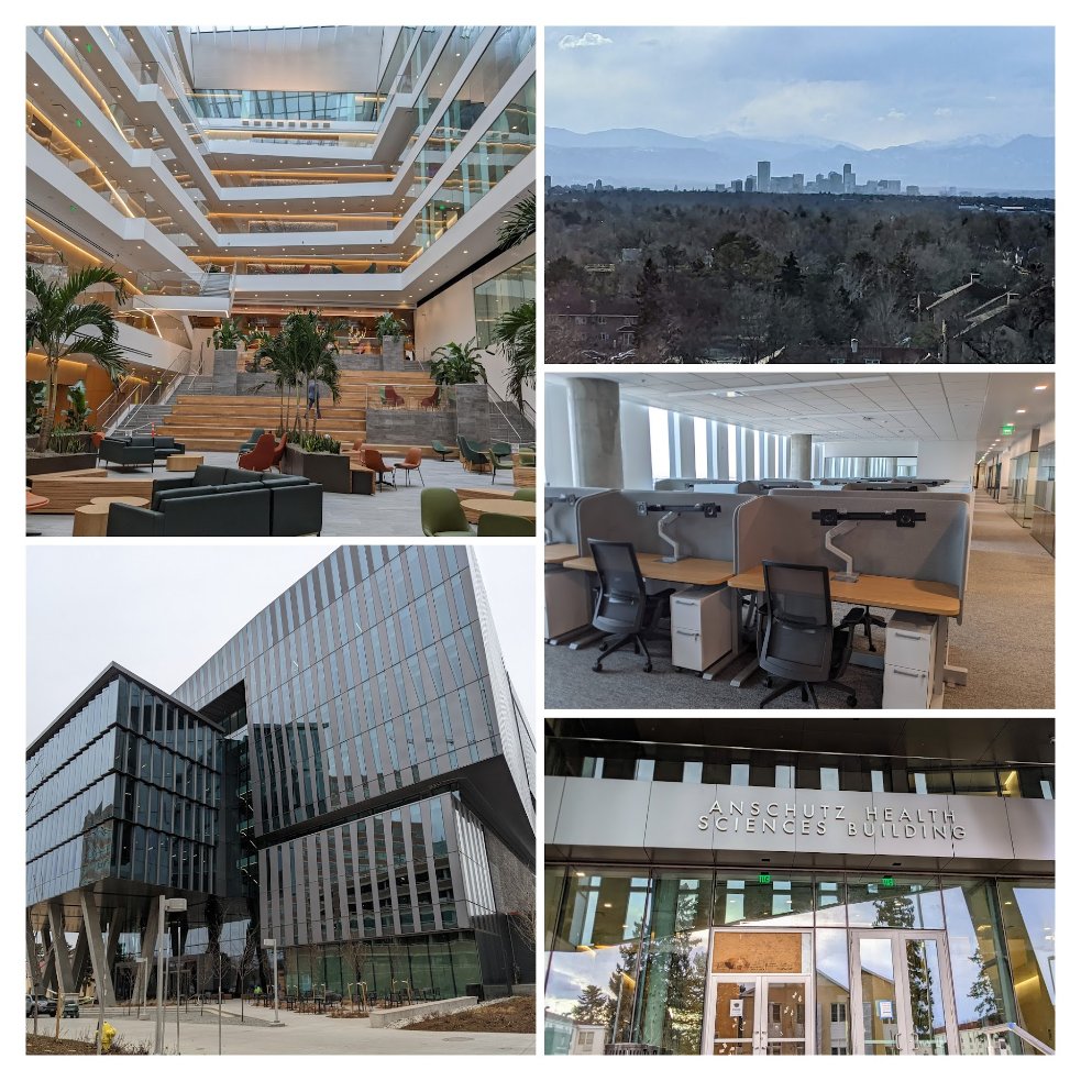 Janani Ravi (@janani137) on Twitter photo Thrilled to announce that we (<a href="/JRaviLab/">JRaviLab</a>) are moving to Colorado this Fall!🎉 Looking forward to the fantastic opportunity to work at the new Center for Health AI!
💻+🦠Biomed Data Science + Infectious Diseases — now at CU! <a href="/CUSystem/">University of Colorado</a> > <a href="/CUAnschutz/">CU Anschutz Medical Campus</a> > <a href="/CUMedicalSchool/">CU School of Medicine</a> > <a href="/CUHealthAI/">Center for Health AI @ CU Anschutz</a> Thrilled to announce that we (<a href="/JRaviLab/">JRaviLab</a>) are moving to Colorado this Fall!🎉 Looking forward to the fantastic opportunity to work at the new Center for Health AI!
💻+🦠Biomed Data Science + Infectious Diseases — now at CU! <a href="/CUSystem/">University of Colorado</a> > <a href="/CUAnschutz/">CU Anschutz Medical Campus</a> > <a href="/CUMedicalSchool/">CU School of Medicine</a> > <a href="/CUHealthAI/">Center for Health AI @ CU Anschutz</a>