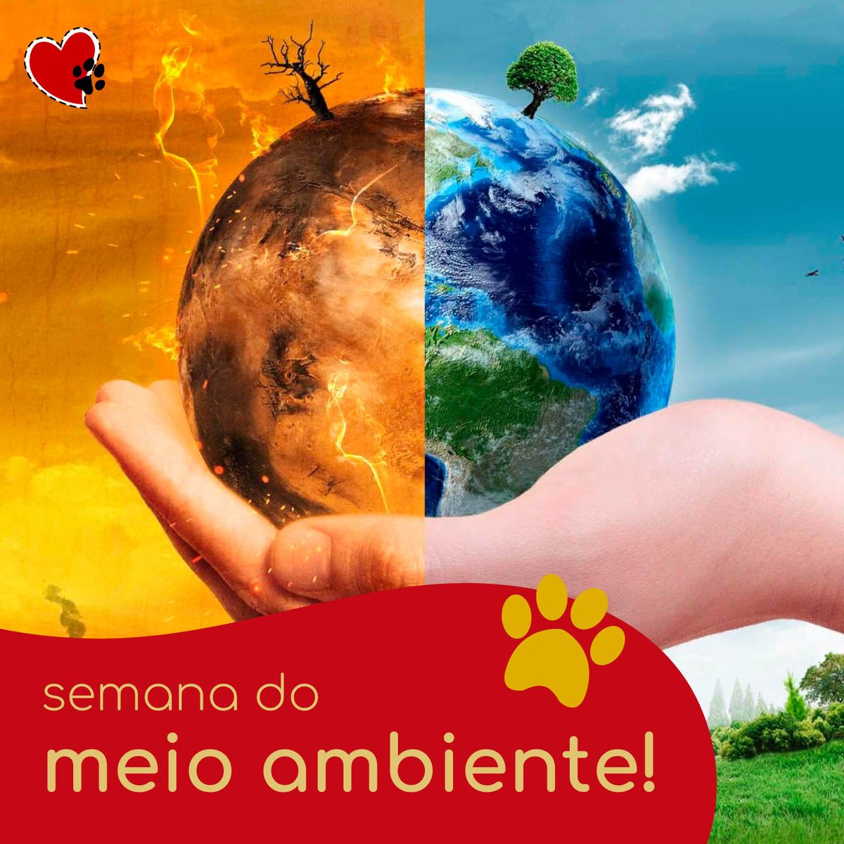 roupapetbr's tweet photo. #SEMANADOMEIOAMBIENTE qdo no dia 5 se celebra o #DIADOMEIOAMBIENTE #DIADAECOLOGIA #DIADARECICLAGEM
Momento de conscientização q visa incluir a sociedade nas pautas e iniciativas q tratem da preservação do patrimônio natural do Brasil. Faça s/parte! 
Saiba+ https://t.co/6HBrtyUo13 https://t.co/mIxpQrgJKr