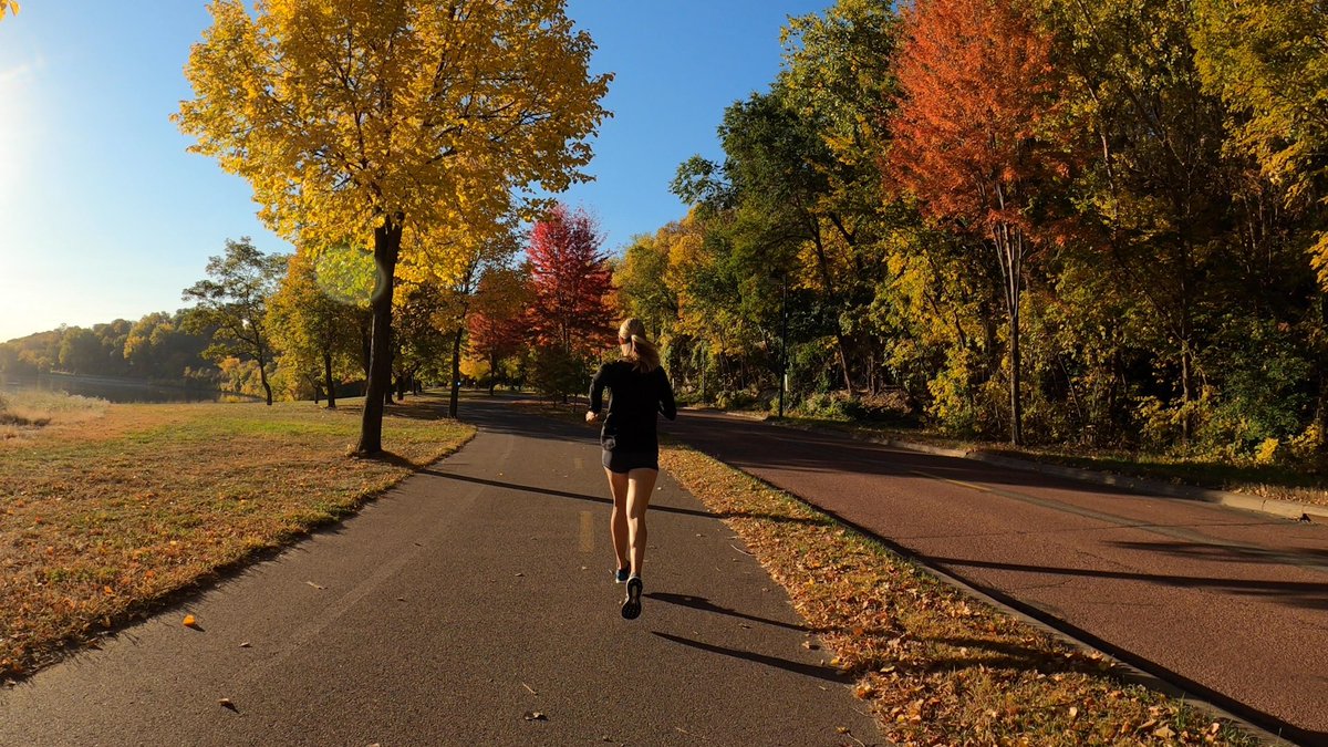 Wellbeats, a LifeSpeak Inc. company tweet media