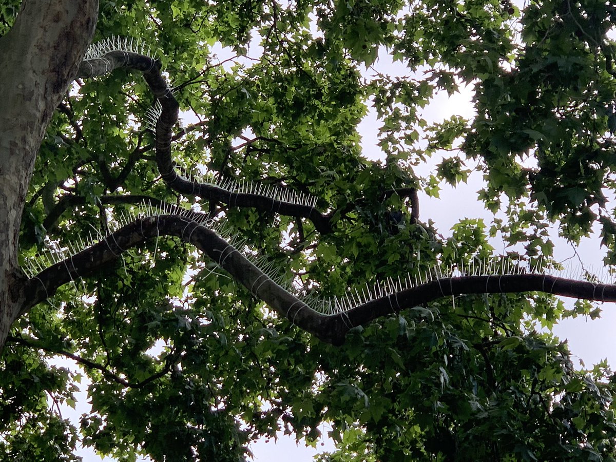 Sam Morland tweet media