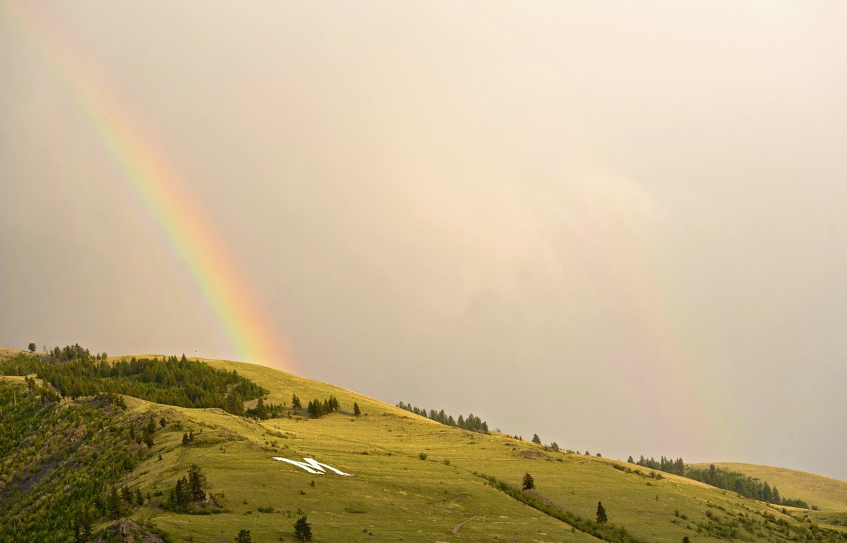 University of Montana tweet media
