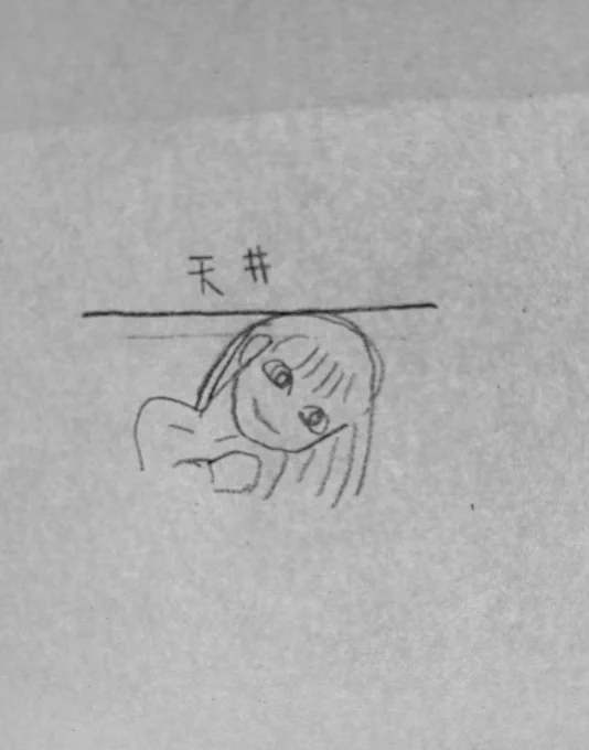 色んな可愛い女の子の自撮りインスタ見るの好きなんだが。どの写真も首が横に曲がってる子がいた。見えない天井でもあるのかというくらい。 