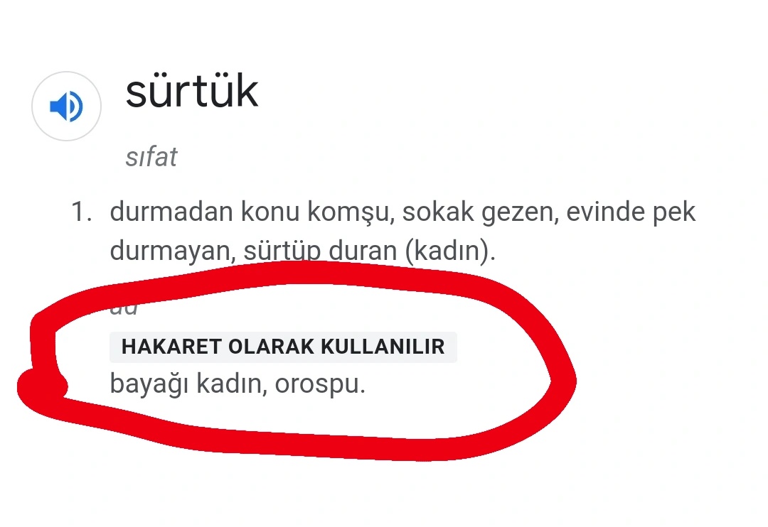 Ülkesini ve bayrağını seven bir ailenin evladı olarak,ailem ile gezi direnişe Türk bayrağını alarak ailem ile katıldık. 

Kimse aileme,bana ve bu millete sürtük (orospu) diyemez, diyenleride sandığa gömmek benim şeref ve namus borcumdur..

Ak Parti Haddini bilecek..!
#Sürtük