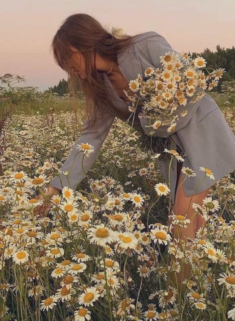 fromkyahseyes's tweet photo. Flower boom <3 🌼🍃 https://t.co/6lPpuvmTxE