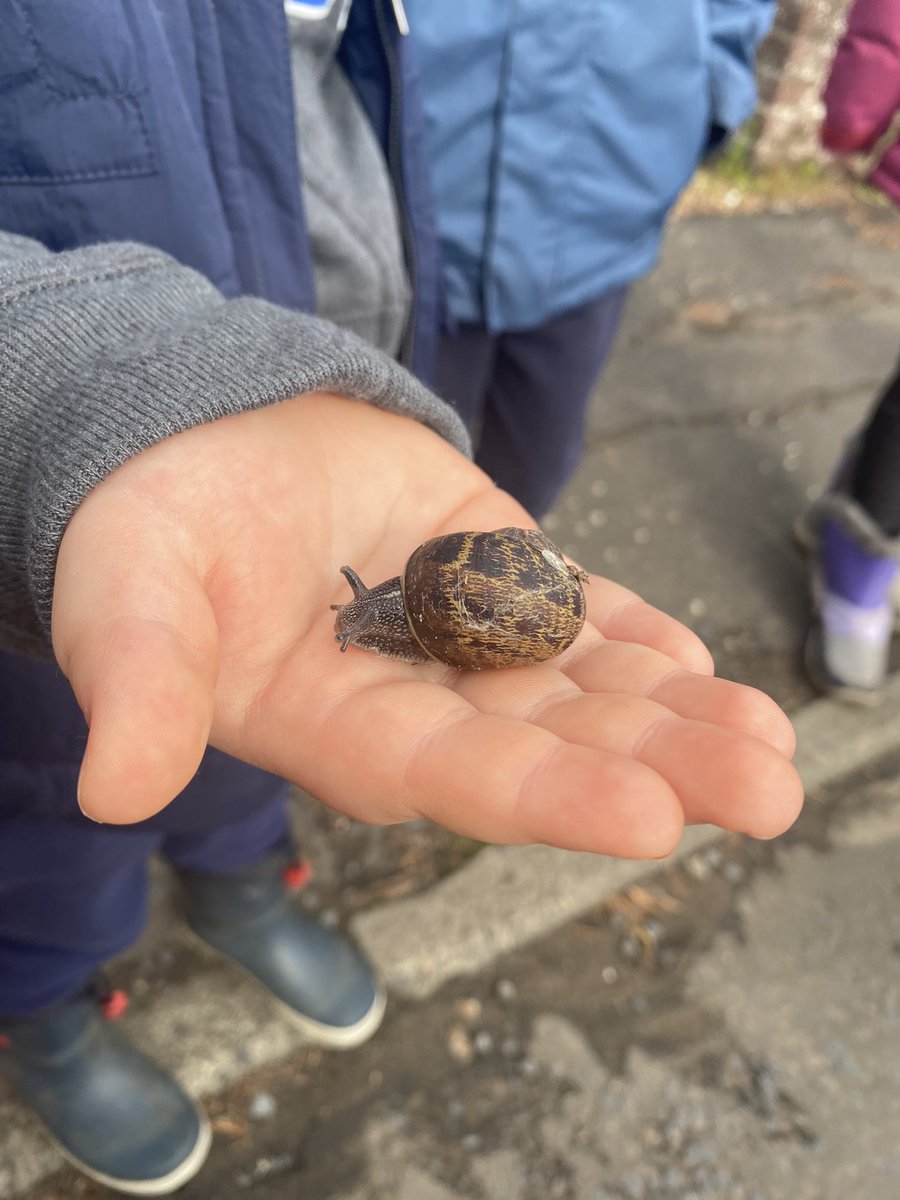 StMarysML9's tweet photo. The final Forest School session for our P1-4 group today. It involved lots of insects and some super teamwork to create 🔥 Of course, we had to test it out by toasting some marshmallows 😊Thanks to Scott Jones for his fabulous skills as always 🌳#aplacetoGROW #outdoorlearning https://t.co/VpzjoCZVts
