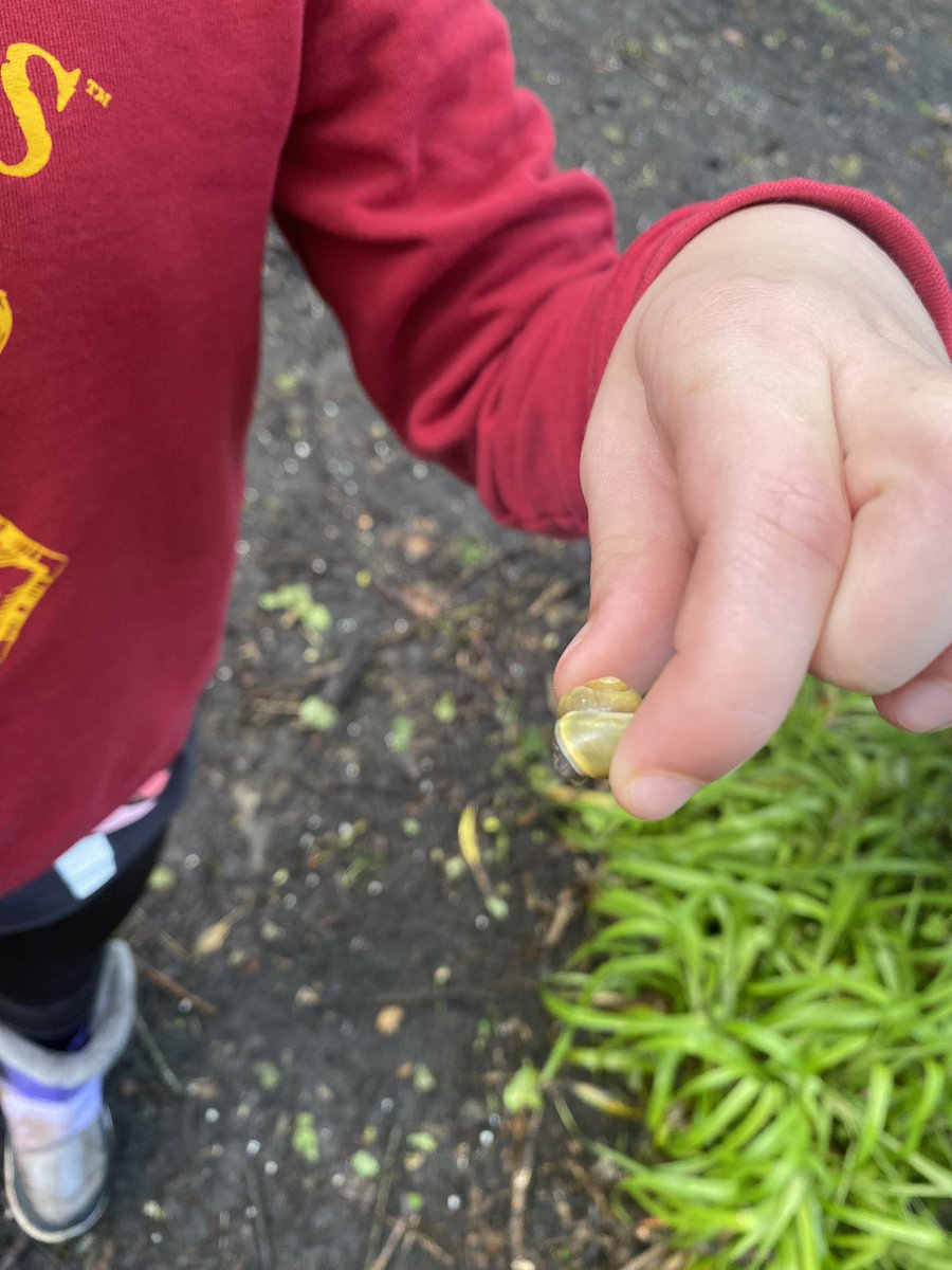 StMarysML9's tweet photo. The final Forest School session for our P1-4 group today. It involved lots of insects and some super teamwork to create 🔥 Of course, we had to test it out by toasting some marshmallows 😊Thanks to Scott Jones for his fabulous skills as always 🌳#aplacetoGROW #outdoorlearning https://t.co/VpzjoCZVts