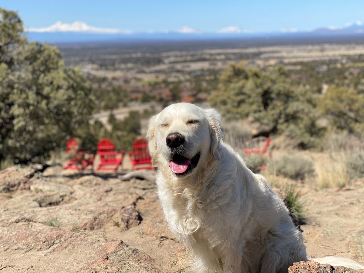 Adam Audette tweet media