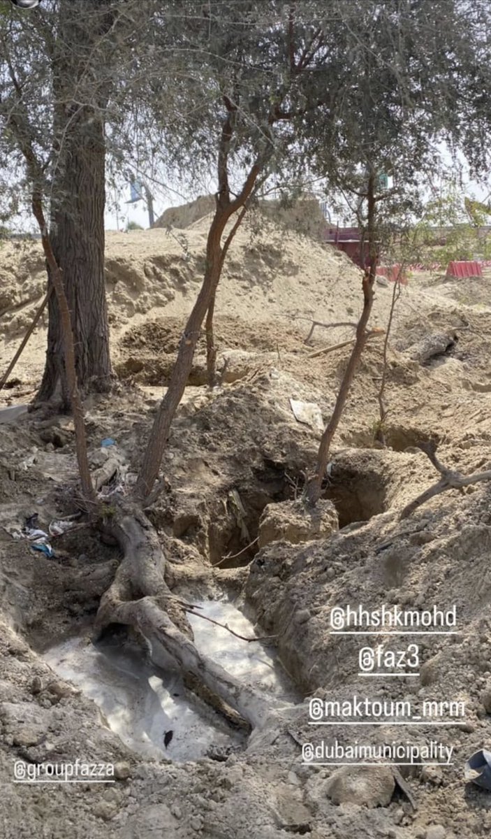 نتمنى من بلدية المحافظة على غافة بو كدرة لما لها من أهمية وتاريخ.