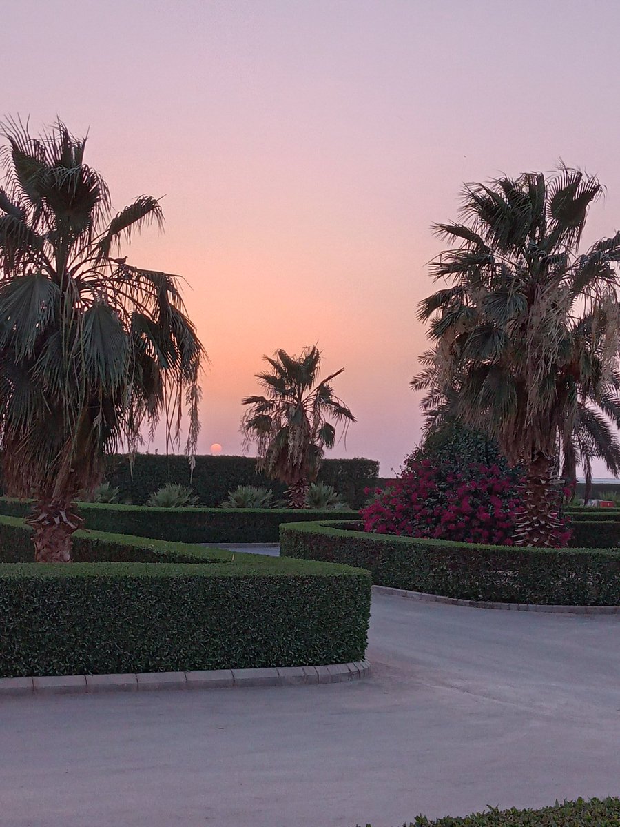 Roger Barkley tweet media