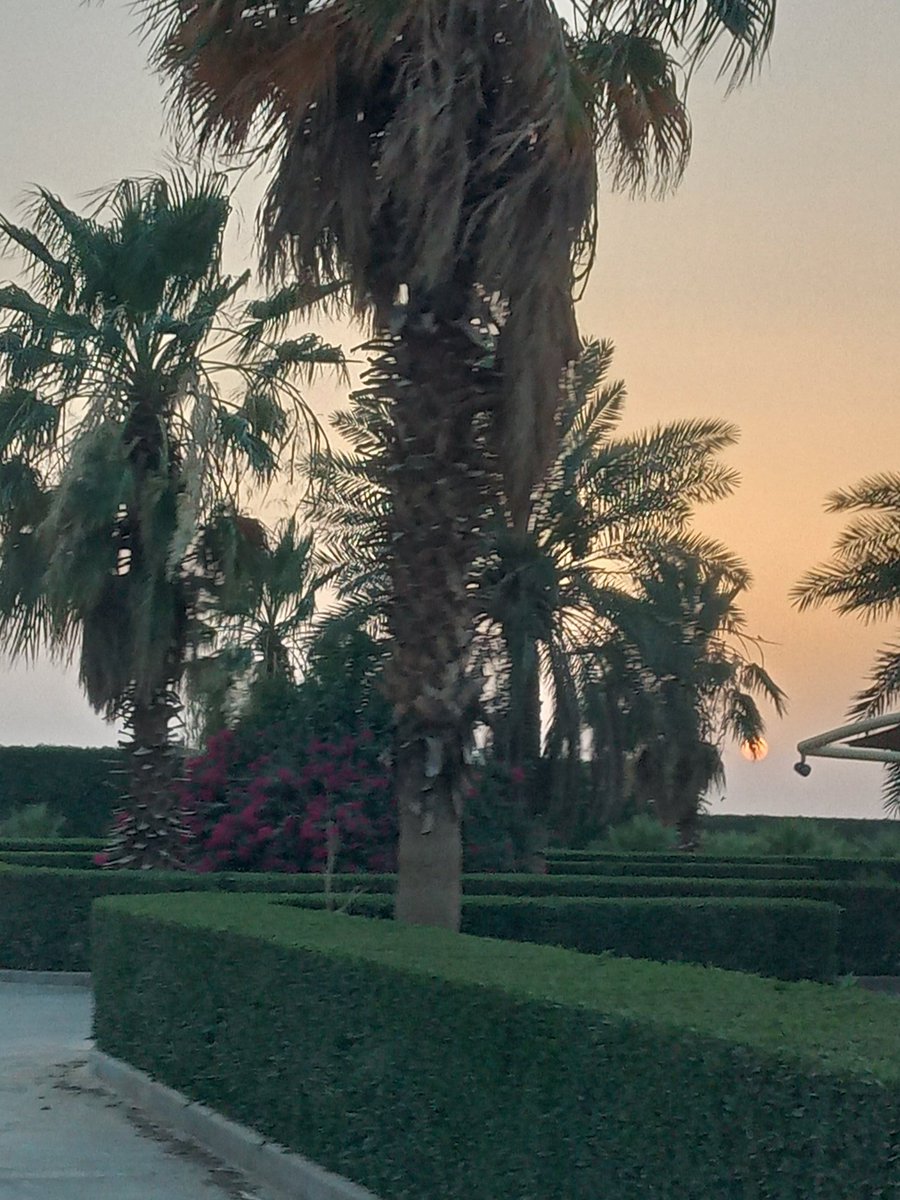 Roger Barkley tweet media