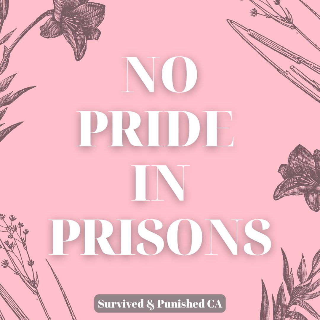 #SurvivedAndPunished tweet media