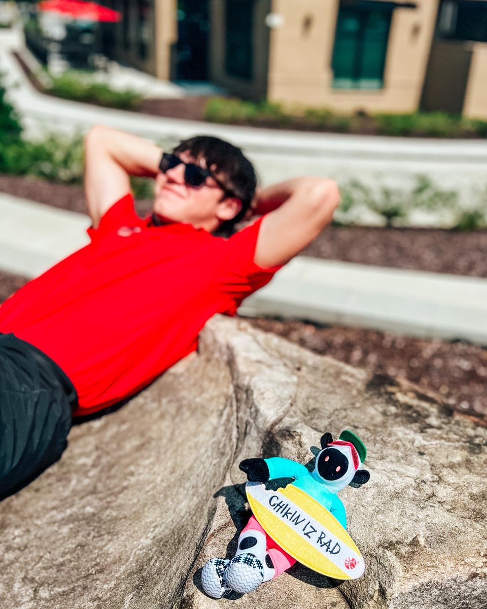MyChickfilA's tweet photo. "Kick off summer in style with our rad, new summer plush cow 🏄 Grab yours today for $6.99 + tax. https://t.co/TbcYDVjqTg