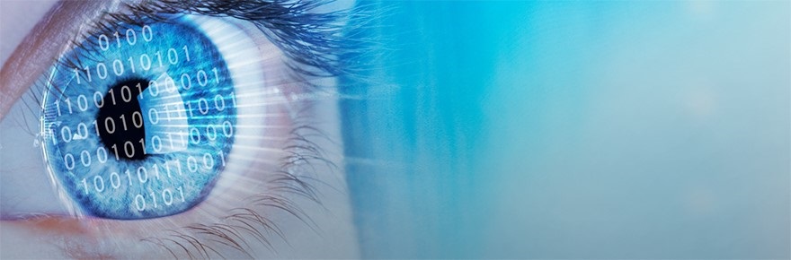 YorkUHealth's tweet photo. Meta has endowed #YorkU with a fellowship of US$250,000 named in honour of the late Kevin MacKenzie, PhD grad in psychology @YorkUPsyc @YorkUHealth, for sustaining vision research at York. @vistayorku https://t.co/PsbKtKNIxL https://t.co/eduCcw1O75