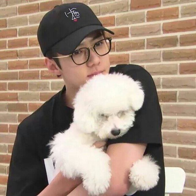 xunqi_indonesia's tweet photo. Selamat ulang tahun yang ke-7 Oh Vivi si buntelan kapas kesayangan Sehun🎉🎂🤍

Siapa nih yg kangen sama Vivi?

#CloudyViviDay #비비 #오비비 #OhVivi #Vivi https://t.co/nu6u4KCnvB